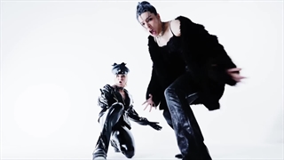 The Midnight Romance X TANAKA 검은고양이 (BLACK CAT) MV