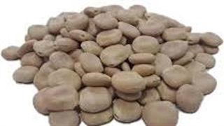 چند نسخه‌ی کاربردی ساده با باقالی مصری