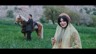 ویدیو لری المان