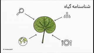 پولیشیاس_فابیان__راهنمای_جامع