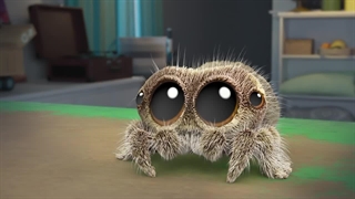 S01E54E55E56-Flash and Boom - House Sitting - Findley Is Sick