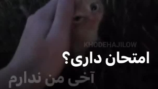 من هنوز زندم* دلم واس دوست های قدیمی نماشاییم تنگ شده