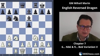 دراگون معکوس انگلیسی برای سفید