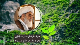 خیرات فرزندان، سبب سرافرازی پدر و مادر در عالم برزخ(آیت الله العظمی مظاهری)