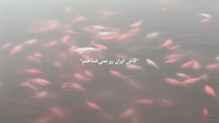 کاش ایران را نمی‌شناختم… اما هنوز دوستش دارم