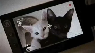 Best friends