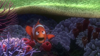 Finding Nemo