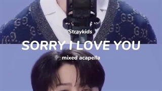 Sorry I love you