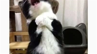 تقدیم به c ..... 사랑해요