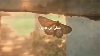 عادت کنین!