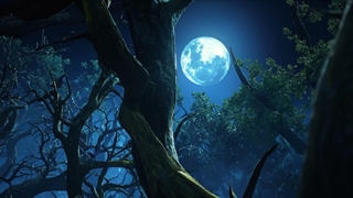 انیمه حلقه اژدها  Coiling dragon  قسمت 6 با زیرنویس فارسی_1080p کانال ما @Yota_Anime