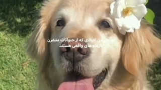 حق
