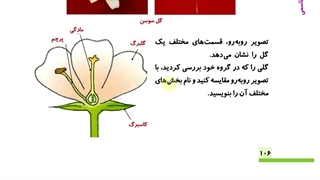 خلاصه علوم