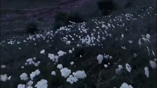 ( ...... ) ( چند ماهه قفلی زدم روش )