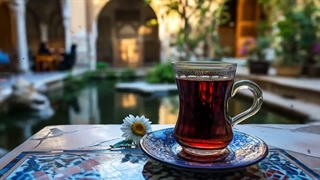 موسیقی شاد با اشعار ناب مولانا از دیوان شمس در قالب آهنگ .
