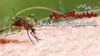 مخوف‌ترین قاتلان سریالی؛ یک میلیون قتل در یک سال