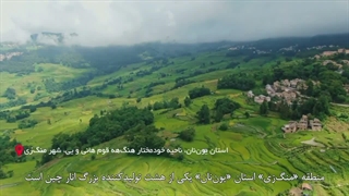 مستند «داستان انار» - قسمت سوم