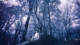 藍井エイル「アイリス」Music Video