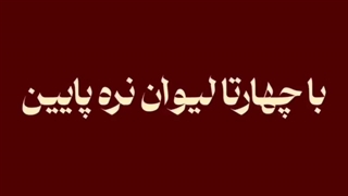 پارمیس میخواد از زندگی لفت بده____
