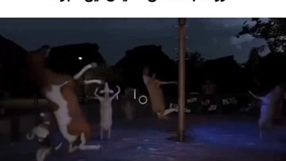 وضع
