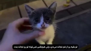 ـ