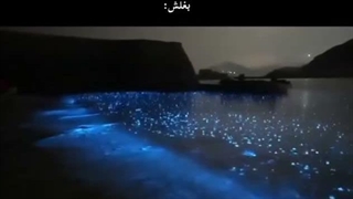 باورتون بشه یا نه بغلی که دوستش داشتم بغل منو نمیخواست:)