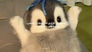 سلاممم