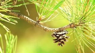 8 آزمایش جالب و تماشایی