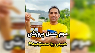 عسل موم‌دار طبیعی؛ انتخابی مطمئن برای خانواده