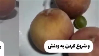 ولش بیاین بخندیم