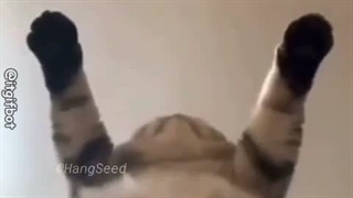 به به