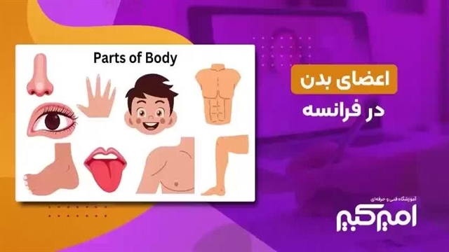 آموزش اعضا بدن در زبان فرانسه