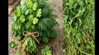 قرمه سبزی حرفه‌ای از صفر تا سرخ شدن 