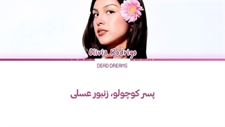 لیریک فارسی آهنگ HONEYBEE از اولیویا رودریگو (Olivia Rodrigo) +متن کد گزاری شده رنگی «Color Coded Lyrics»