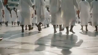 شنود...