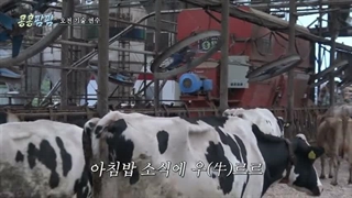 قسممت 2 برنامه کیونگسو kkpp farm operation زیرنویس فارسی