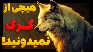 چرا گرگ ها بیشتر شبیه انسان هستند تا حیوان؟