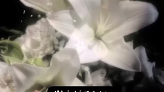 هاردِن تولدتتتتت مبارککککک | کپ