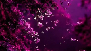 حاجی افسردگی گرفتیم یه چیزی بزارین که کمی بخندیم