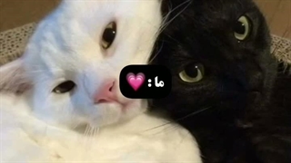 ویدیو تقدیم به کلارا جونم