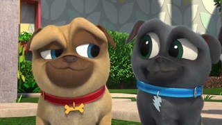 S03E06-Bingo and Rollys Playcare Picnic Party Judge Rolly