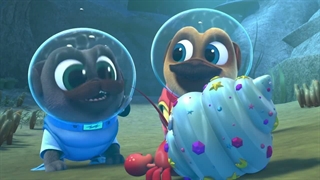 S04E16-Runaway Wedding Ring Bob and Anas Wedding