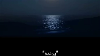 نماهنگ،مرتضی عمادی