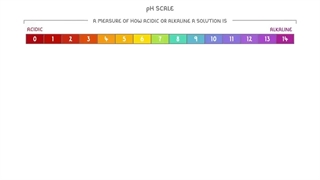 Acids and bases