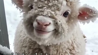 نومم نومم میدونی مخاطبم خودتی:))گوجیی بوجیی