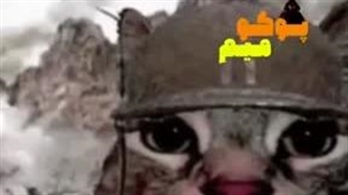 کپشننننننننننن
