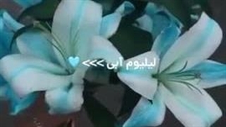 ناشناس بیاین کپ
