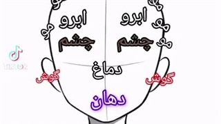 حداقل اینجا کویر نی