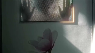 بلک اسکورپیون موزیک Black Scorpion Music