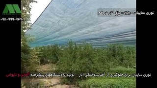 توری سایبان انار قم | 09119999490 جلوگیری از آفتاب سوختگی انار با توری شید ۵۰ درصد